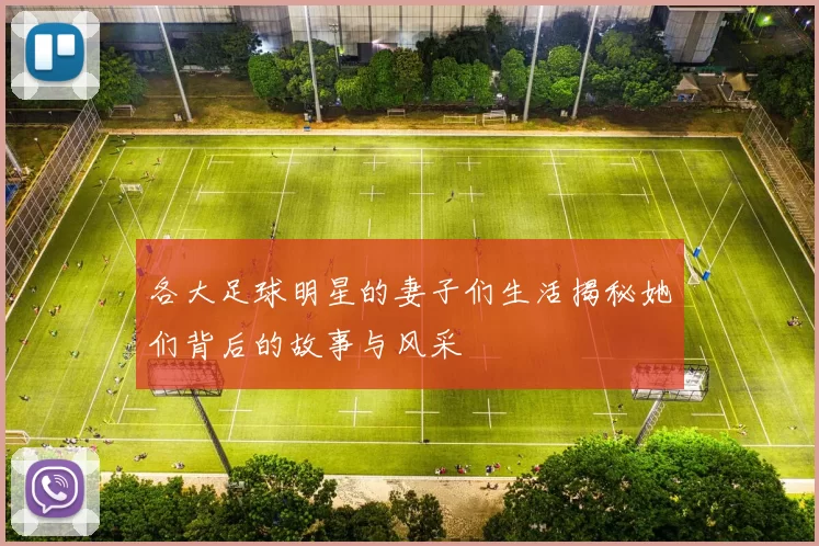 各大足球明星的妻子们生活揭秘她们背后的故事与风采