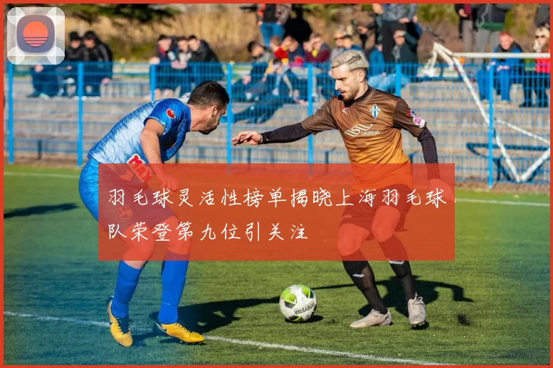 羽毛球灵活性榜单揭晓上海羽毛球队荣登第九位引关注