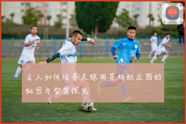 古人如何培养足球明星蚂蚁庄园的秘密与智慧探究