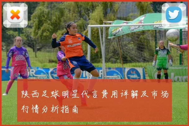 陕西足球明星代言费用详解及市场行情分析指南