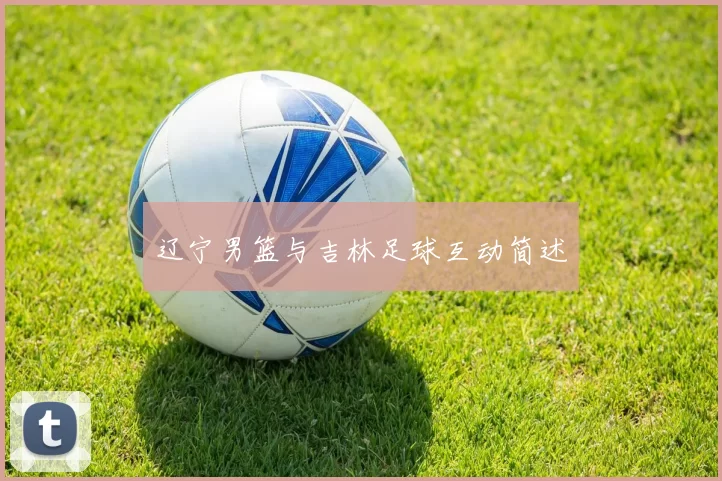 辽宁男篮与吉林足球互动简述