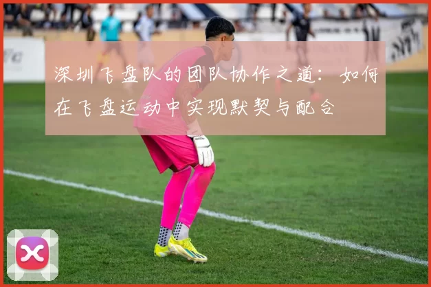 深圳飞盘队的团队协作之道：如何在飞盘运动中实现默契与配合