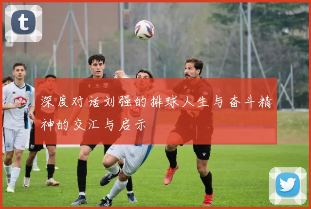 深度对话刘强的排球人生与奋斗精神的交汇与启示