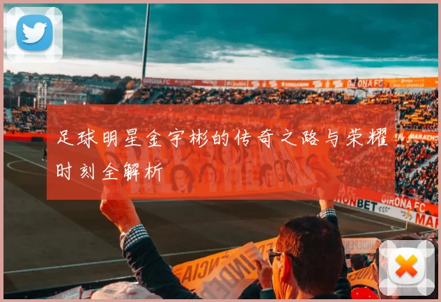足球明星金宇彬的传奇之路与荣耀时刻全解析