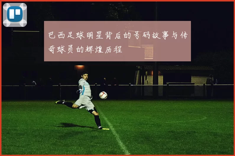 巴西足球明星背后的号码故事与传奇球员的辉煌历程