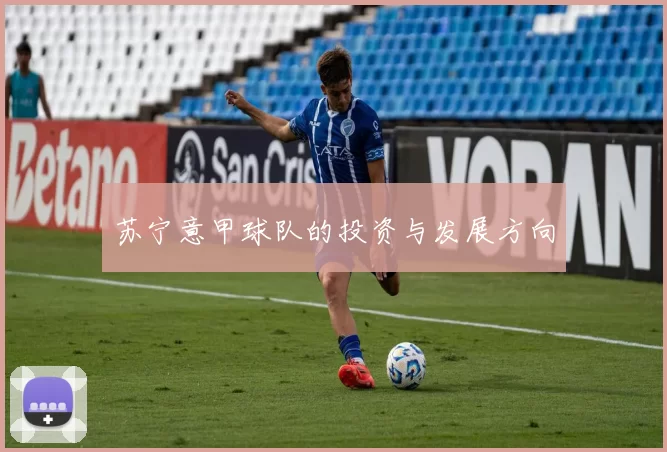 苏宁意甲球队的投资与发展方向