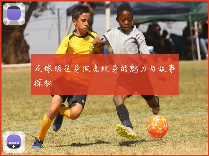 足球明星身披虎纹身的魅力与故事探秘