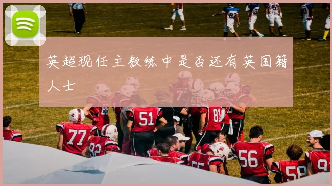 英超现任主教练中是否还有英国籍人士