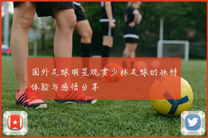 国外足球明星观赏少林足球的独特体验与感悟分享