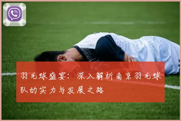 羽毛球盛宴：深入解析南京羽毛球队的实力与发展之路