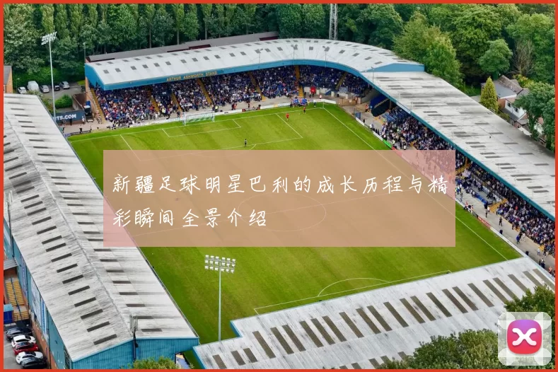 新疆足球明星巴利的成长历程与精彩瞬间全景介绍