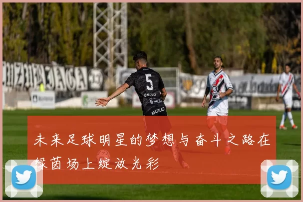 未来足球明星的梦想与奋斗之路在绿茵场上绽放光彩