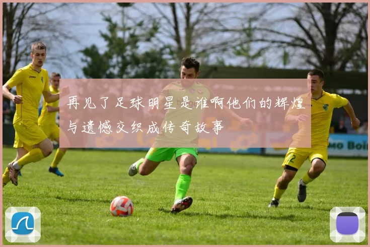 再见了足球明星是谁啊他们的辉煌与遗憾交织成传奇故事