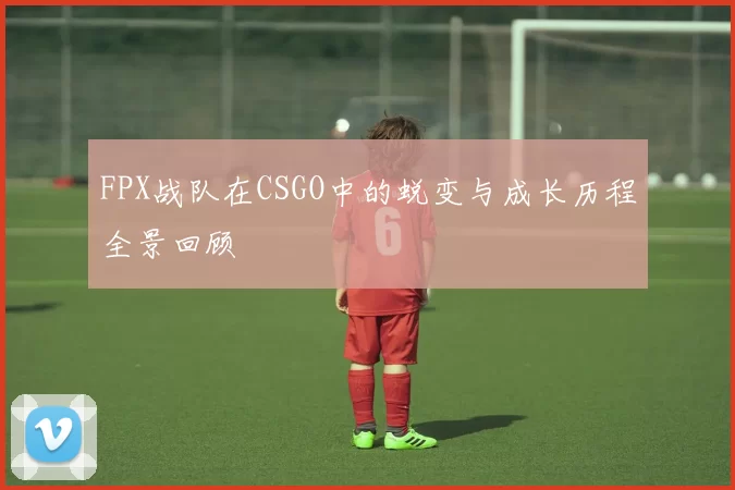FPX战队在CSGO中的蜕变与成长历程全景回顾