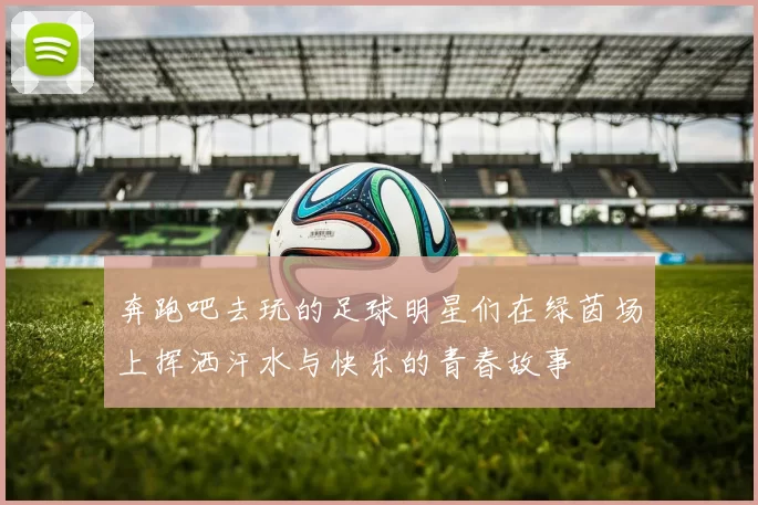 奔跑吧去玩的足球明星们在绿茵场上挥洒汗水与快乐的青春故事