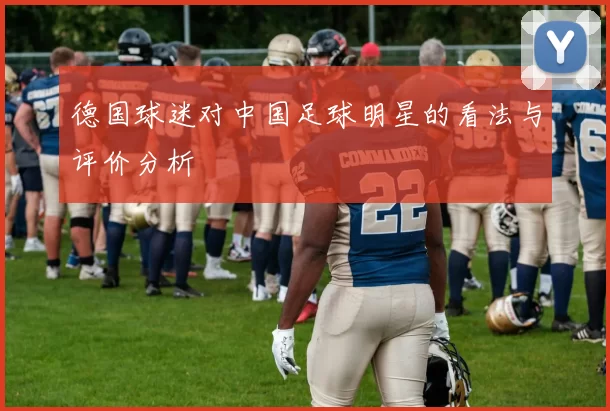 德国球迷对中国足球明星的看法与评价分析