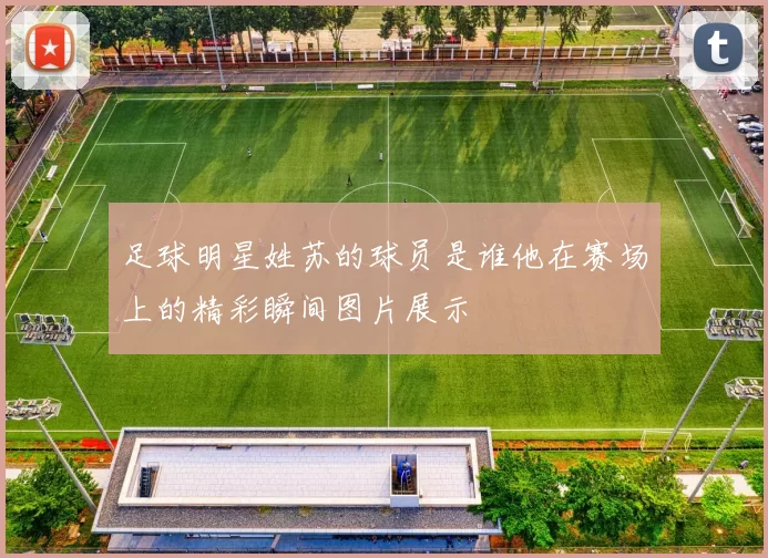 足球明星姓苏的球员是谁他在赛场上的精彩瞬间图片展示
