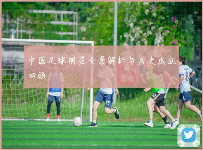 中国足球明星全景解析与历史成就回顾