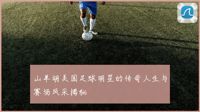 山羊胡美国足球明星的传奇人生与赛场风采揭秘
