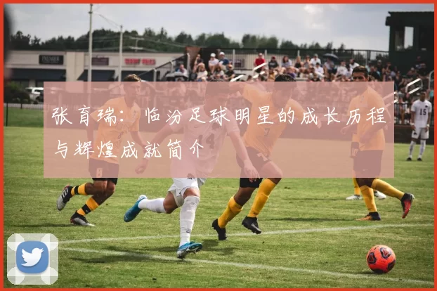 张育瑞：临汾足球明星的成长历程与辉煌成就简介