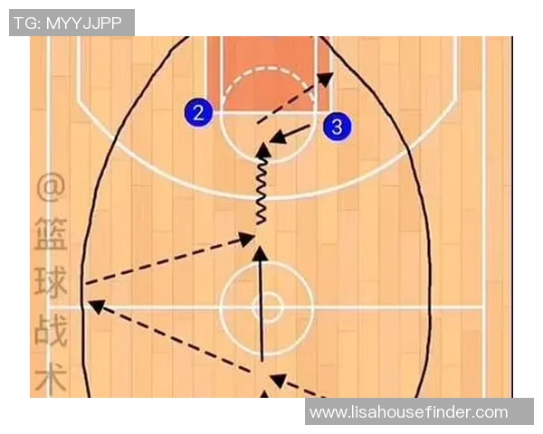 成都排球队快攻战术解析与实战应用探讨